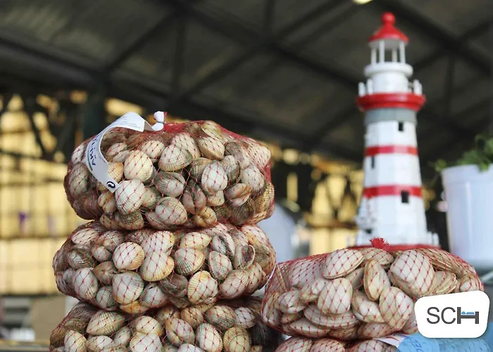 Muralha - By Sch Nazare