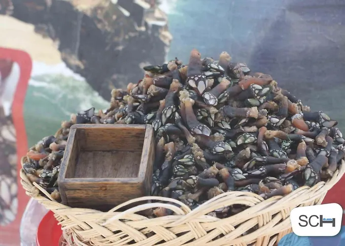 Apartment Muralha - By Sch